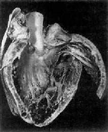 ��ɽ��֮����