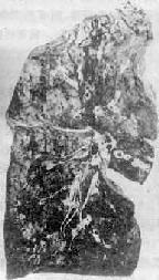 ֧���ܷ���