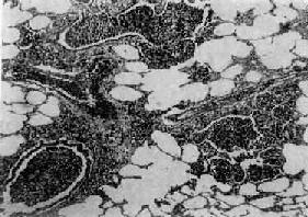 ֧���ܷ���