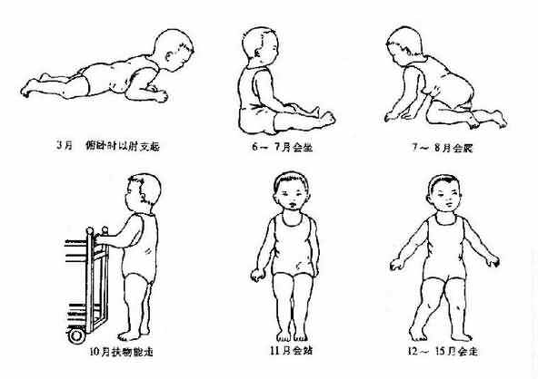 ���׶��˶��ķ���