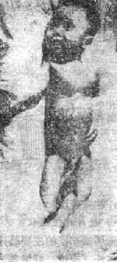 �߹Ǵ��顢�������Ϲ�