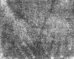 ���Ͳ���������