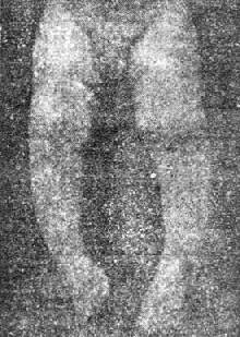 ��O������