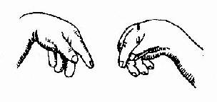 ���㴤��֢���־���