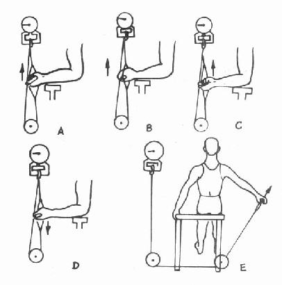 ��֫�����ⶨʾ��