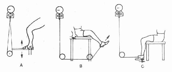 ��֫�����ⶨʾ��