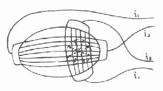 ���ų����γ�