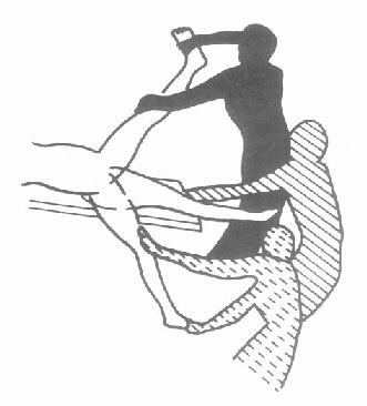 ��֫��UD1FLE ģʽ˵��