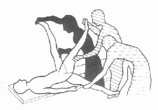 ��֫��UD1ELEģʽ˵��