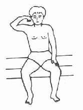 ��֫������Эͬ�˶�ģʽ