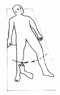 ��֫���ϼ�Ⱥ�����Ϸ�Ӧ