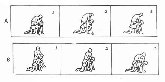 һ�ࣨA�������ࣨB����ѵ����