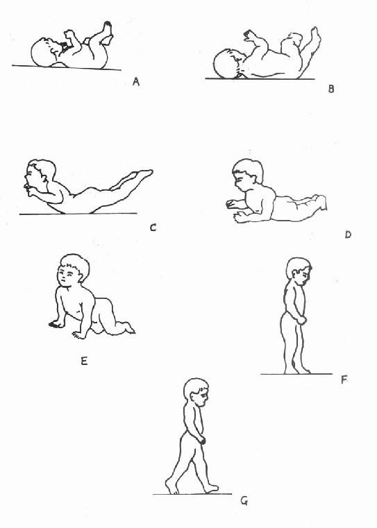 �˶��ķ���˳��