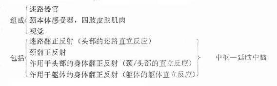 �Ӿ���������