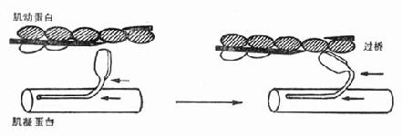 �ļ���ά��������ʾ��ͼ