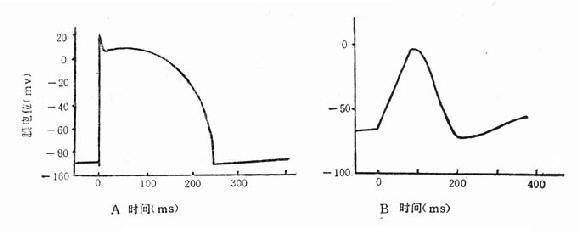 ���������Եĵ�����