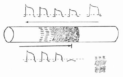 ���򴫵����ͷ�������