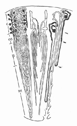 Ҷ�乭�ξ���