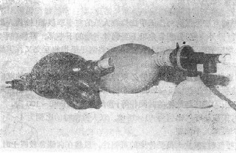 ���׺�����