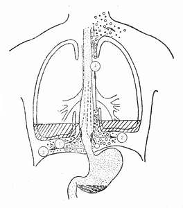 �Է���ʳ�����Ѳ�λ