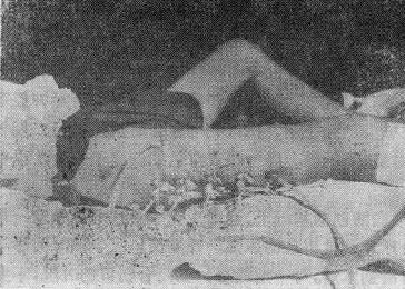 �պ��Գ�����ϴ������