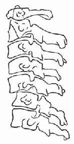 ��׵����λͼ