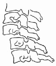 ��5��6��λ��С�ؽ���Ծ