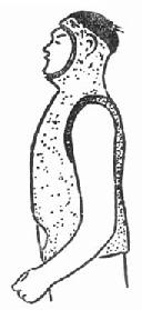 Minervaʽʯ����̶���