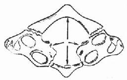 �׵����ʾ�⣭ˮƽλ