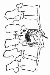 �����͹���