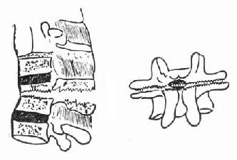 �������۵Ĺ�����