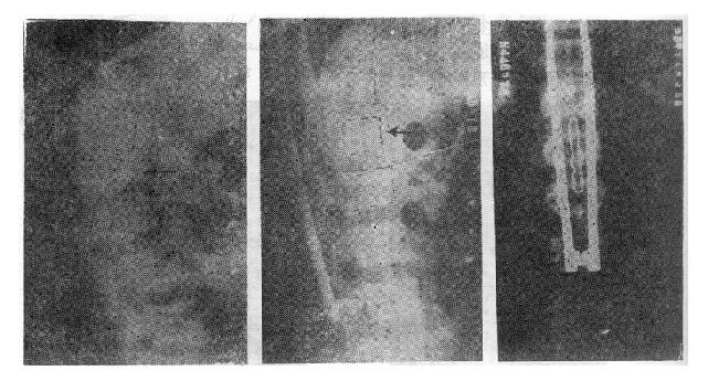 �����͹��۵�����