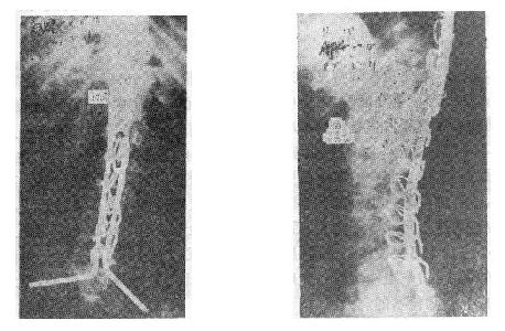 Galveston����