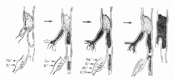 ����˨��Զ�˵���ʱ仯