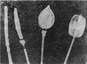 ������о�ĵ���