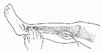 ϥ���ڲ��п���¶�s���������֧