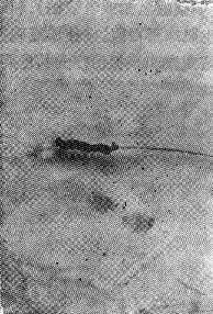 ���ܴ���˨�ӣ�ȡ����Ѫ˨