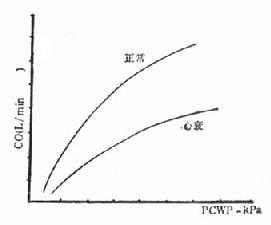 �Ĺ�������