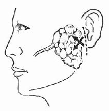 ����ŧ���п������п��ڶ���ǰ