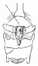 ������������������