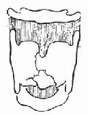 ��״���ǹ���