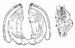 ����������������