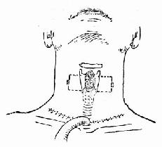 ������λ���п������п�