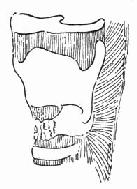 ��״���ǹ���