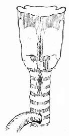 �������ѿ���