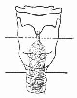 ��������ģʾ��ͼ