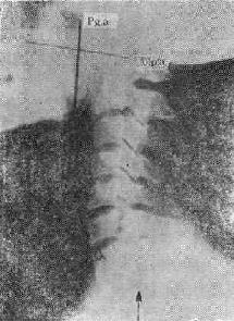 ����ͨ���ʲ�������ʾ��