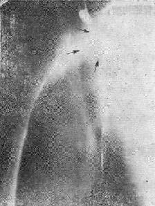 Ƭ��ʾ�ϴ��ʳ�ſ��ں���