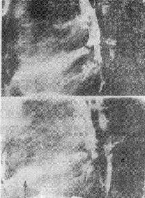 ֧������Ӱʾ֧��������