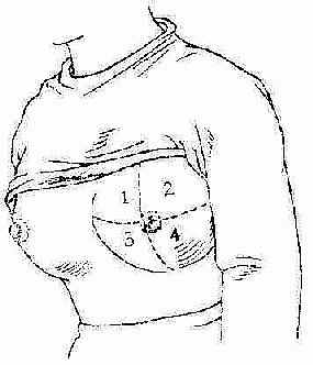 �鷿����˳��